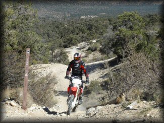 Dirt Bike Rider On Rocky Woods Trail