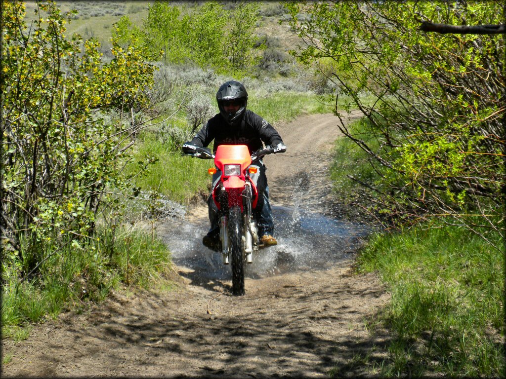 Young man on Honda dual sport motorcycle riding through shallow water crossing at Danskin Mountains OHV Area.