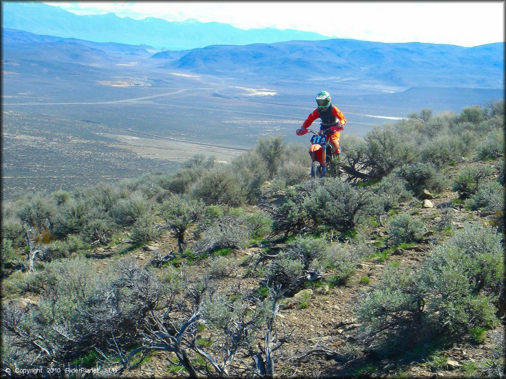 Diamond Back Hare Scrambles Action