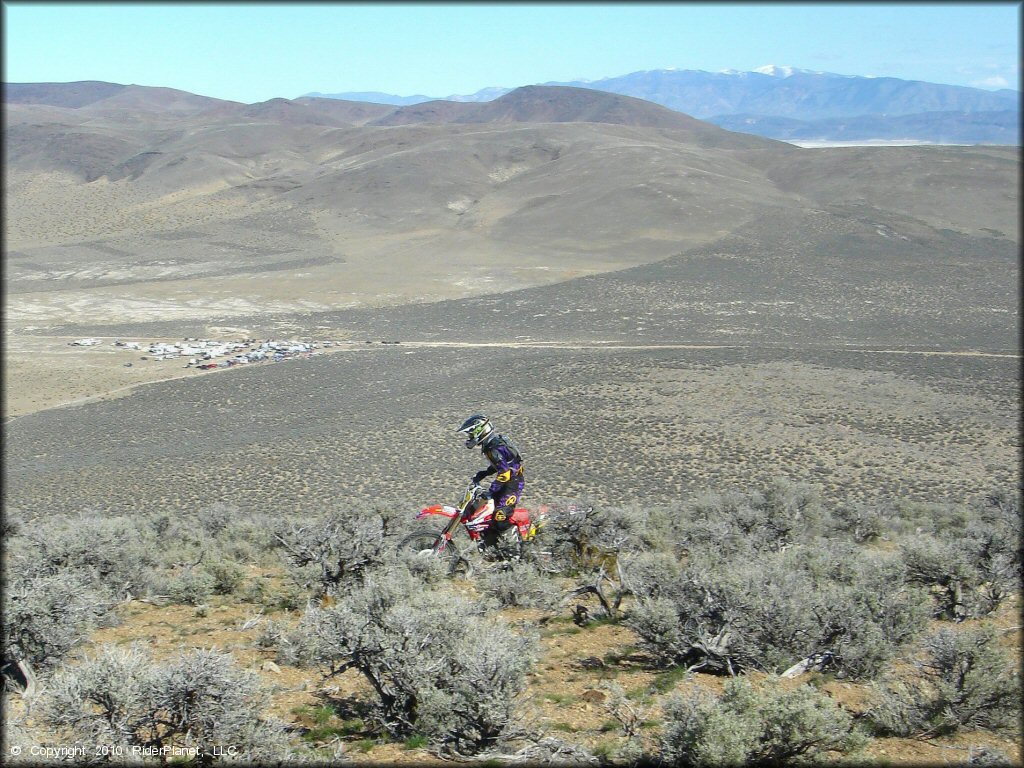 Diamond Back Hare Scrambles Action