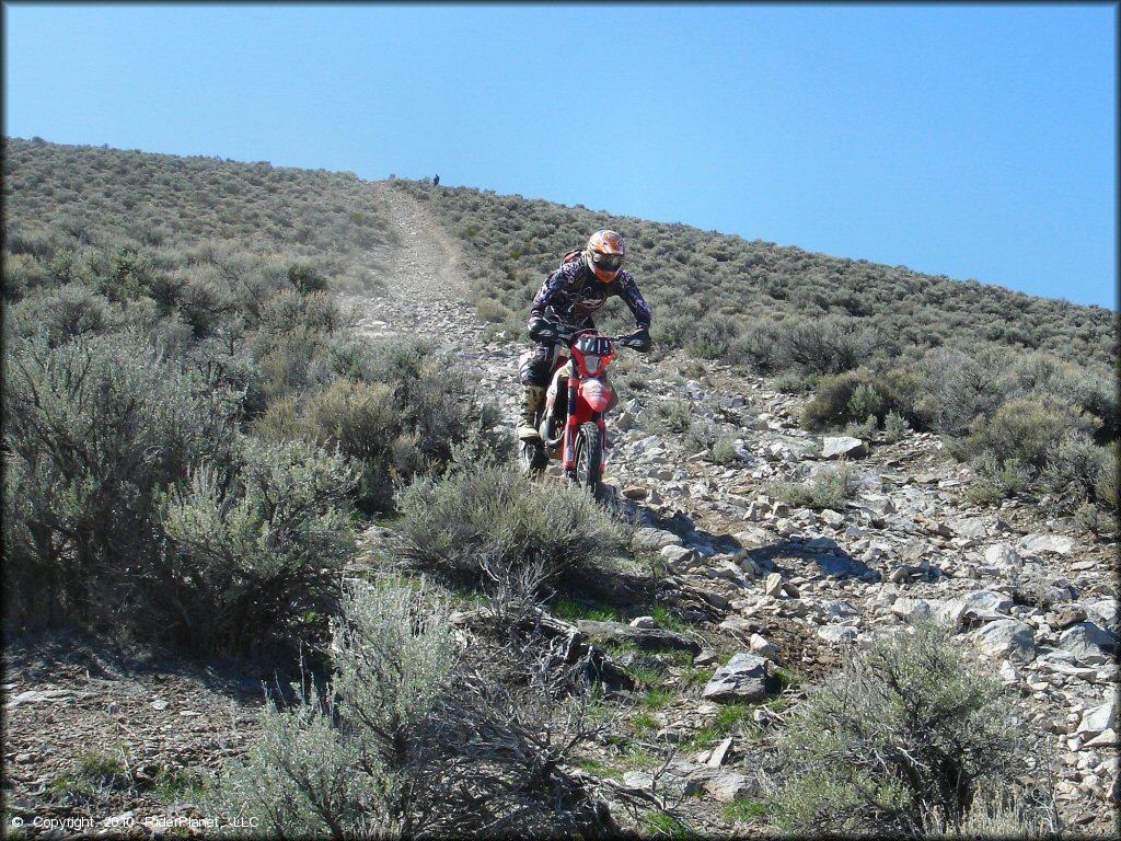 Diamond Back Hare Scrambles Action