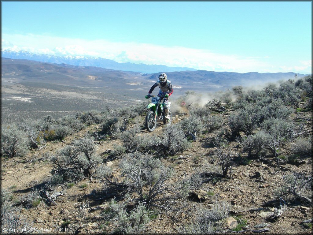 Diamond Back Hare Scrambles Action