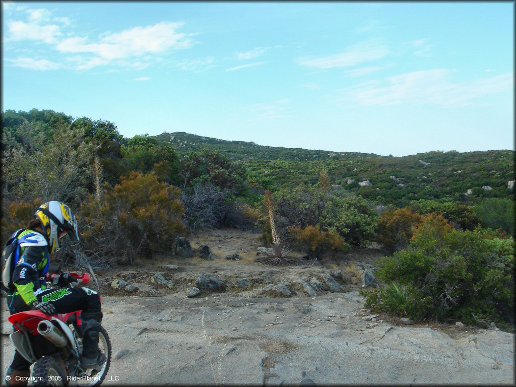 Dirt Bike Rider On Trail