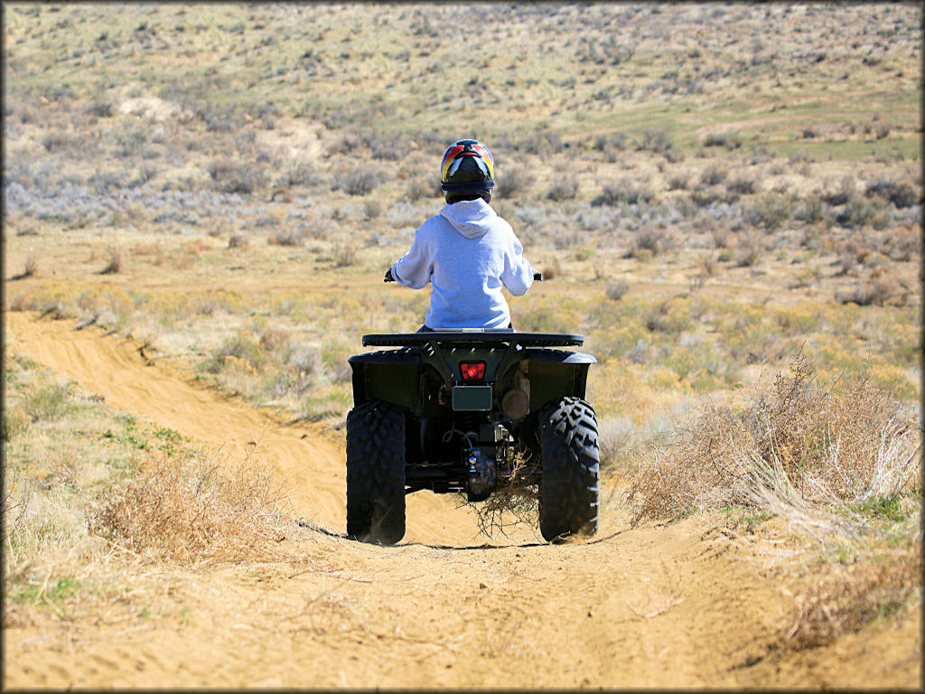ATV Rider In Nevada