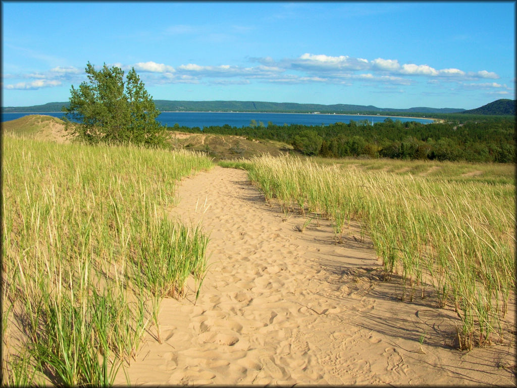 Sandy Hiking Trail At Sleeping Bear Dunes