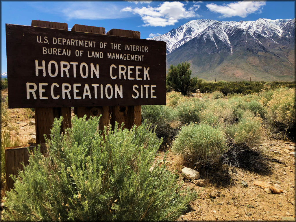 Horton Creek