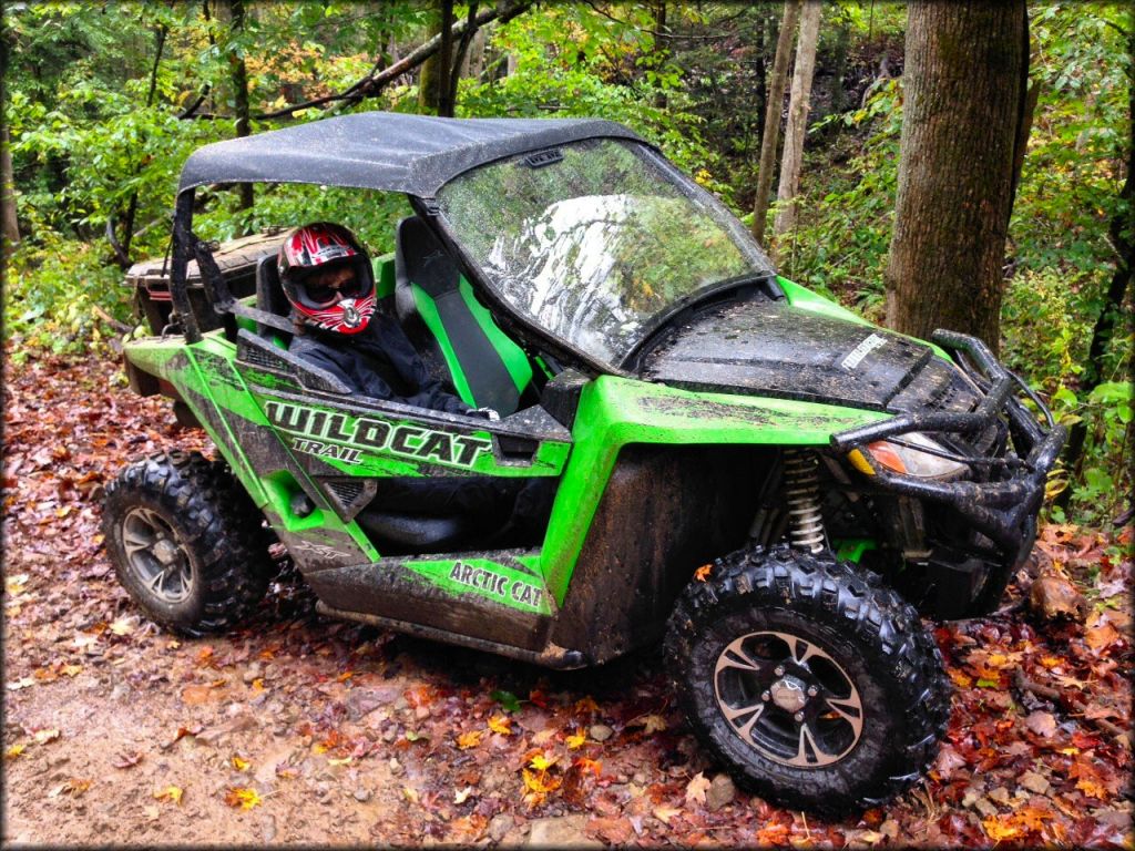 Green Arctic Cat Wildcat Trail with young woman wearing a helmet in the passenger seat parked alongside the trail.