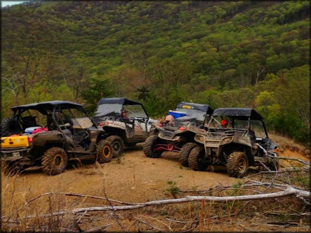 Group of UTVs parked alongside each other near the North Cumberland Wildlife Management Area.