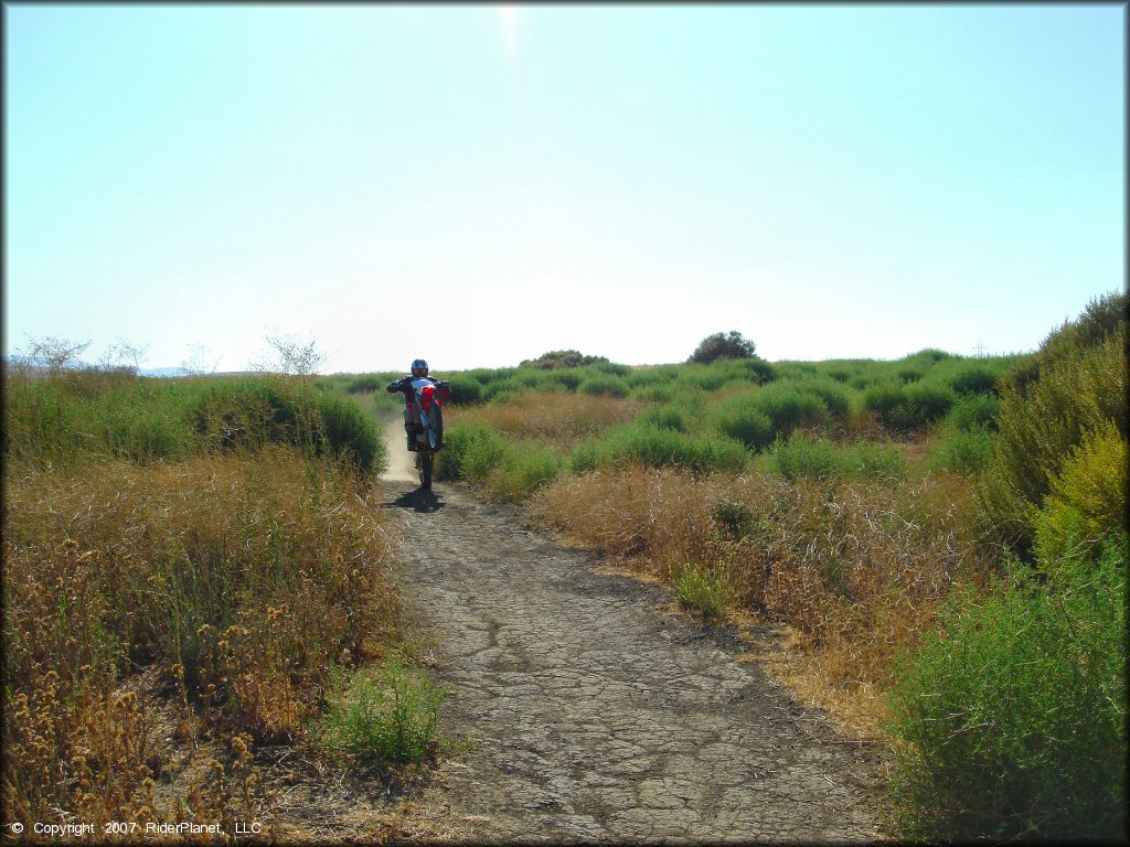 Rider on Honda CRF250 popping a wheelie on ATV trail at San Luis Reservoir.