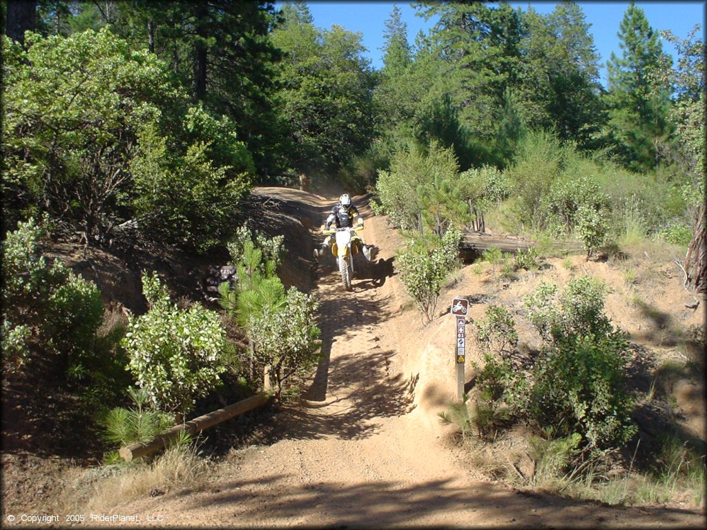 Rider on Suzuki 250 dirt bike coming down black diamond trail at Penny Pines.