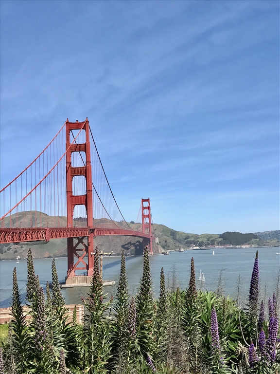 Scenic view of Golden Gate Bridge with sailboats in the water.