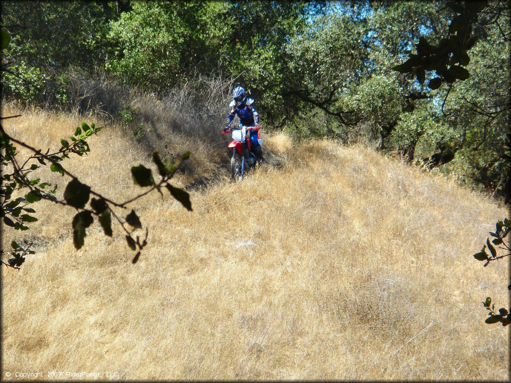 Honda CRF150 on single track trail at Santa Clara County Park.