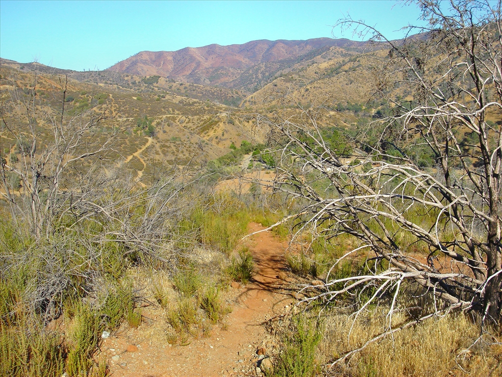 Single track trail overlooking Frank Raines Campground from top of hill.