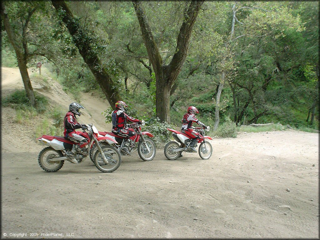 Group of riders on Honda dirt bikes at Hollister Hills SVRA.