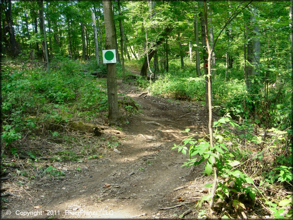 Scenic photo of wooded ATV trail with trail signage on trees.