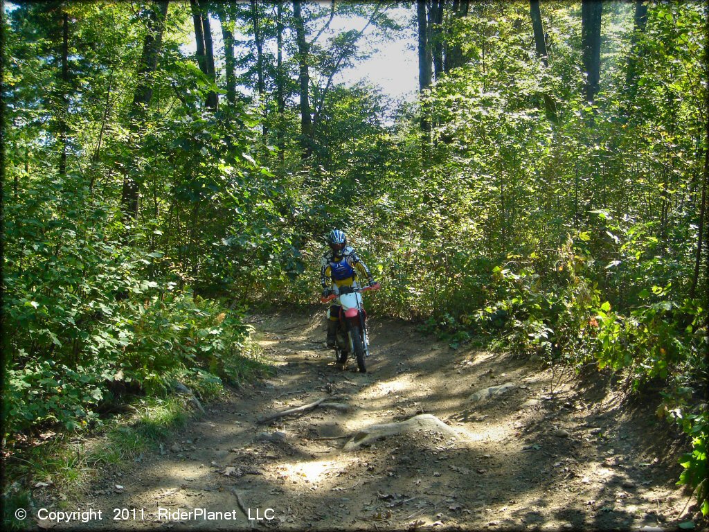 Young woman on Honda CRF150 dirt bike riding down wooded trail at Beartown State Forest.