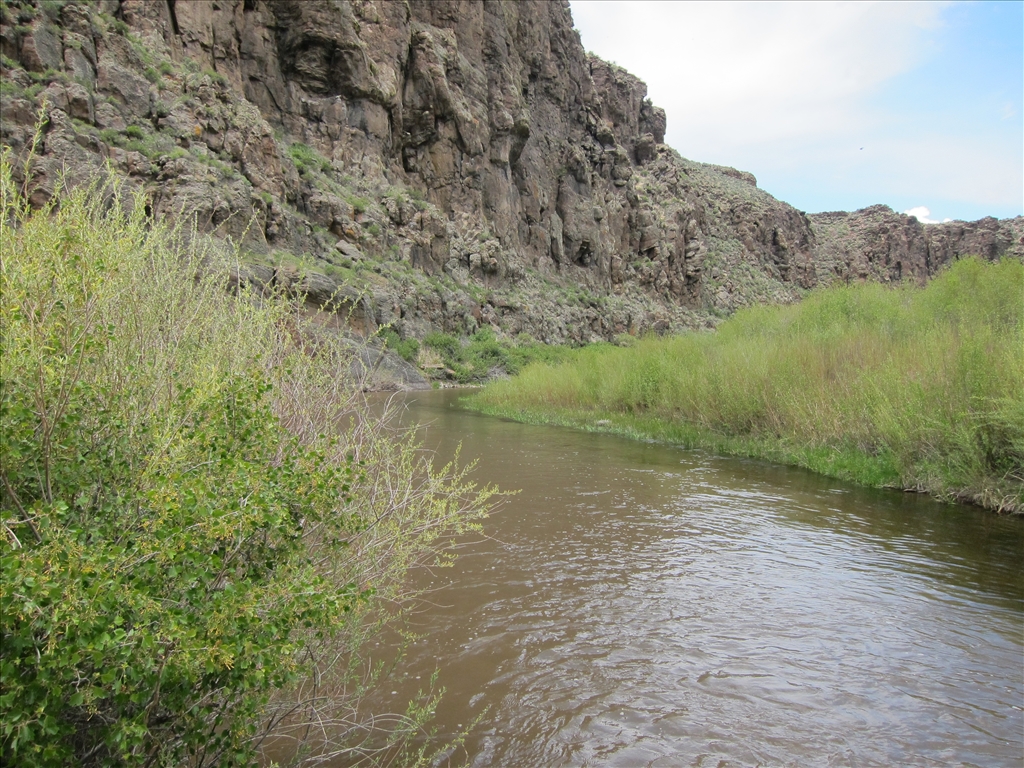 Scenic view of Salmon Falls Creek.