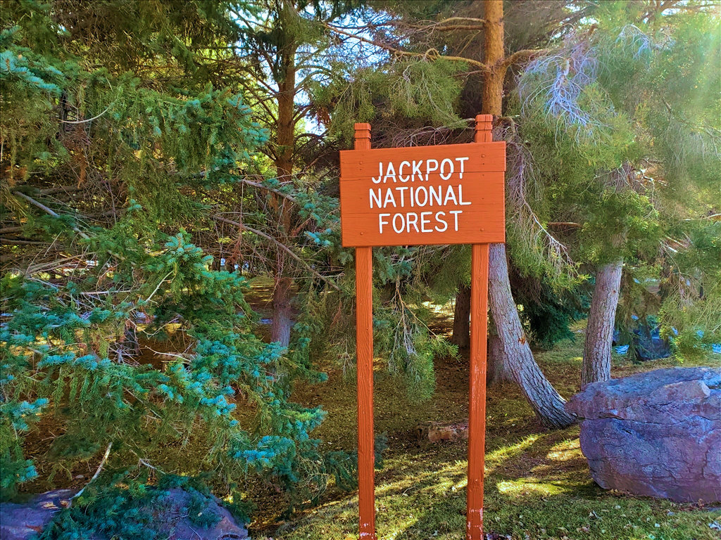 Signage for Jackpot National Forest.