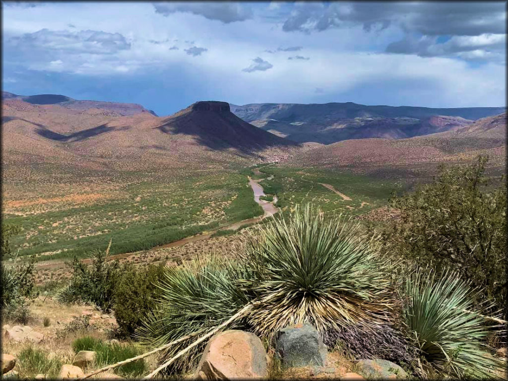 Gila Monster UTV Fest