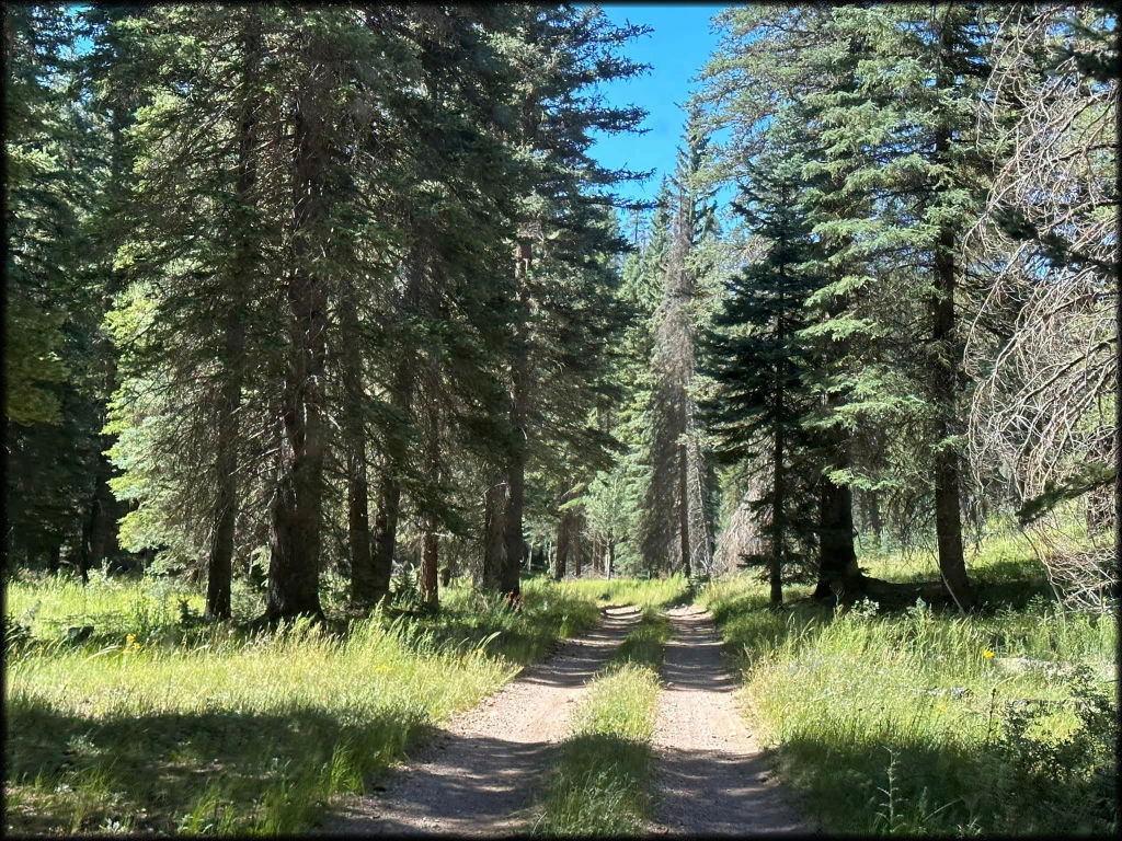 North Rim UTV Fun Run - Grand Canyon