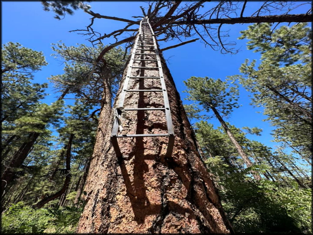 North Rim UTV Fun Run - Grand Canyon