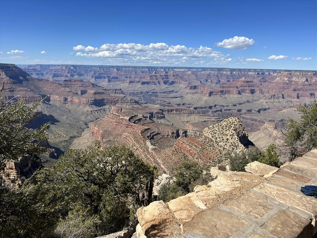 Williams To Grand Canyon