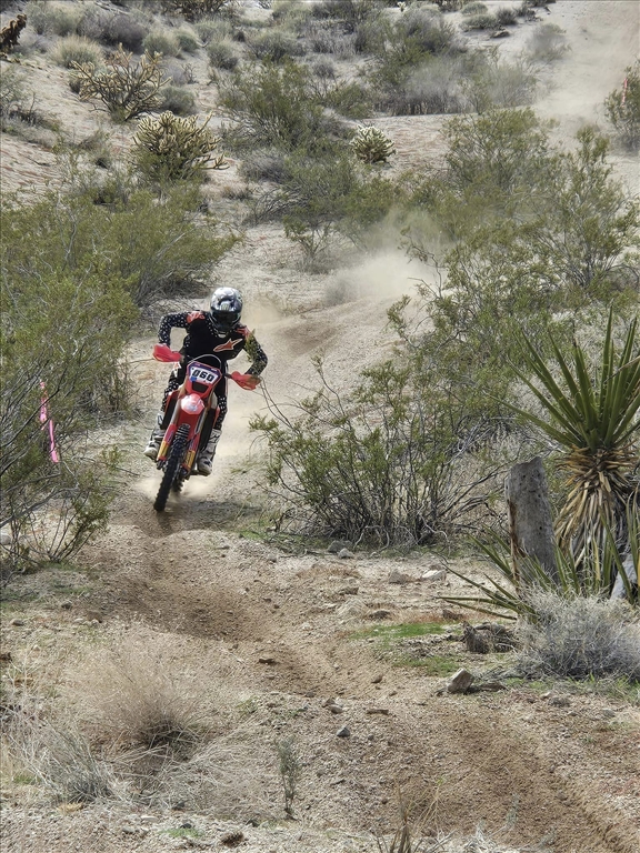 Laughlin Extravaganza 5 Hour Bike Team Race