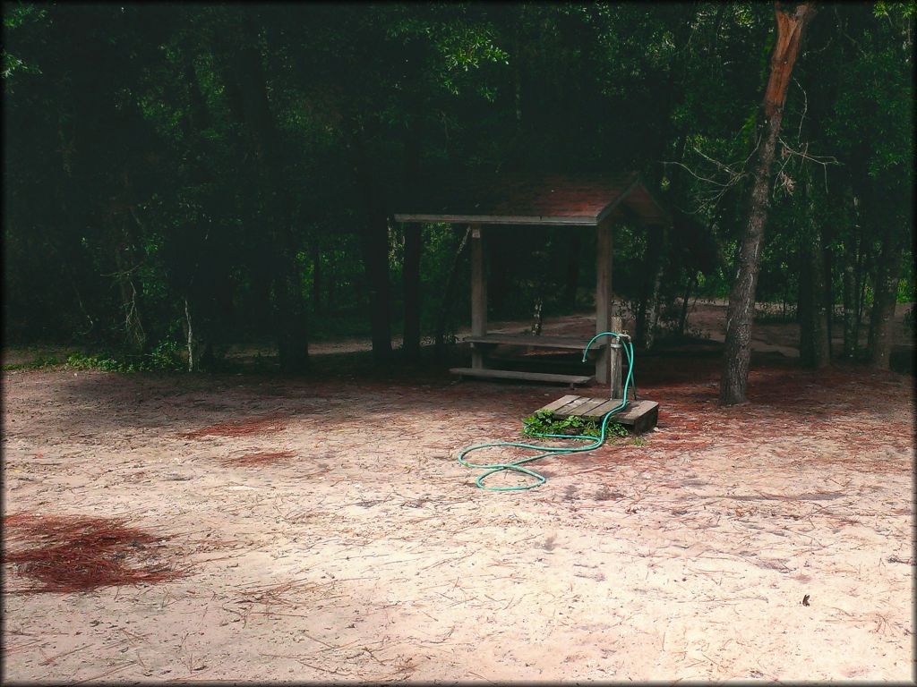 Water spigot with garden hose attached to faucet.