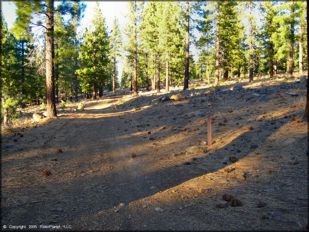 Example of terrain at Prosser Pits Track