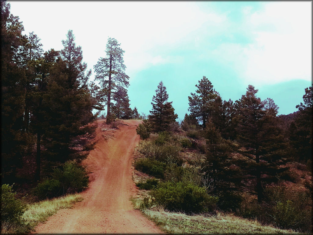 Rainbow Falls Trail