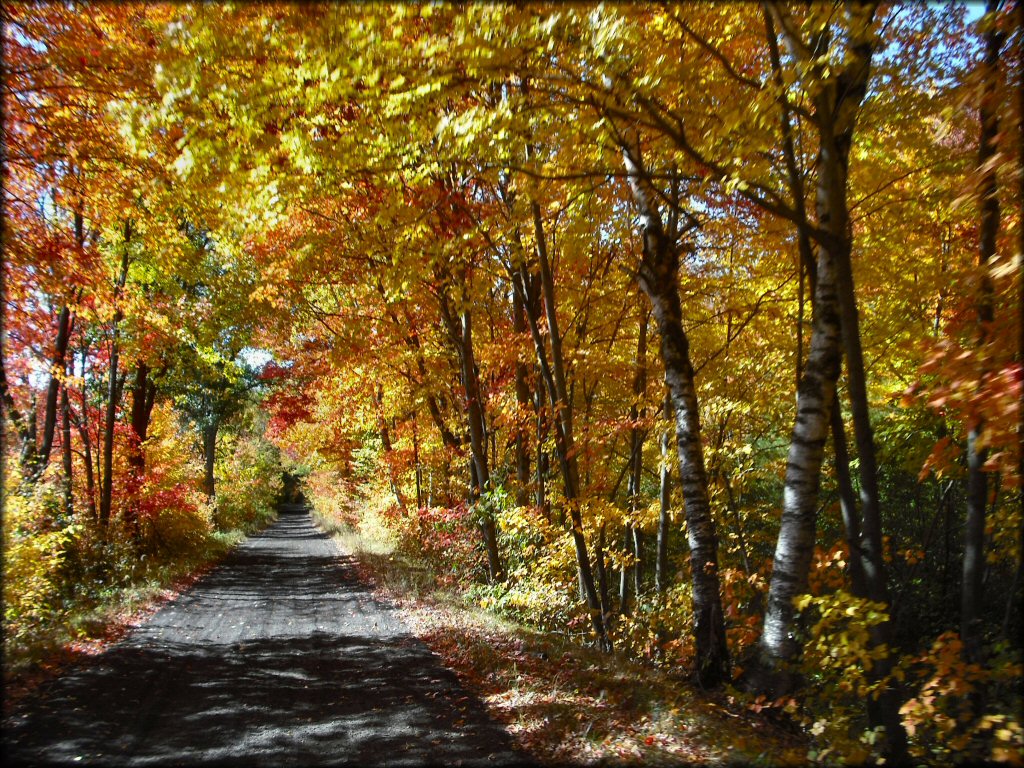 Buffalo River Trail