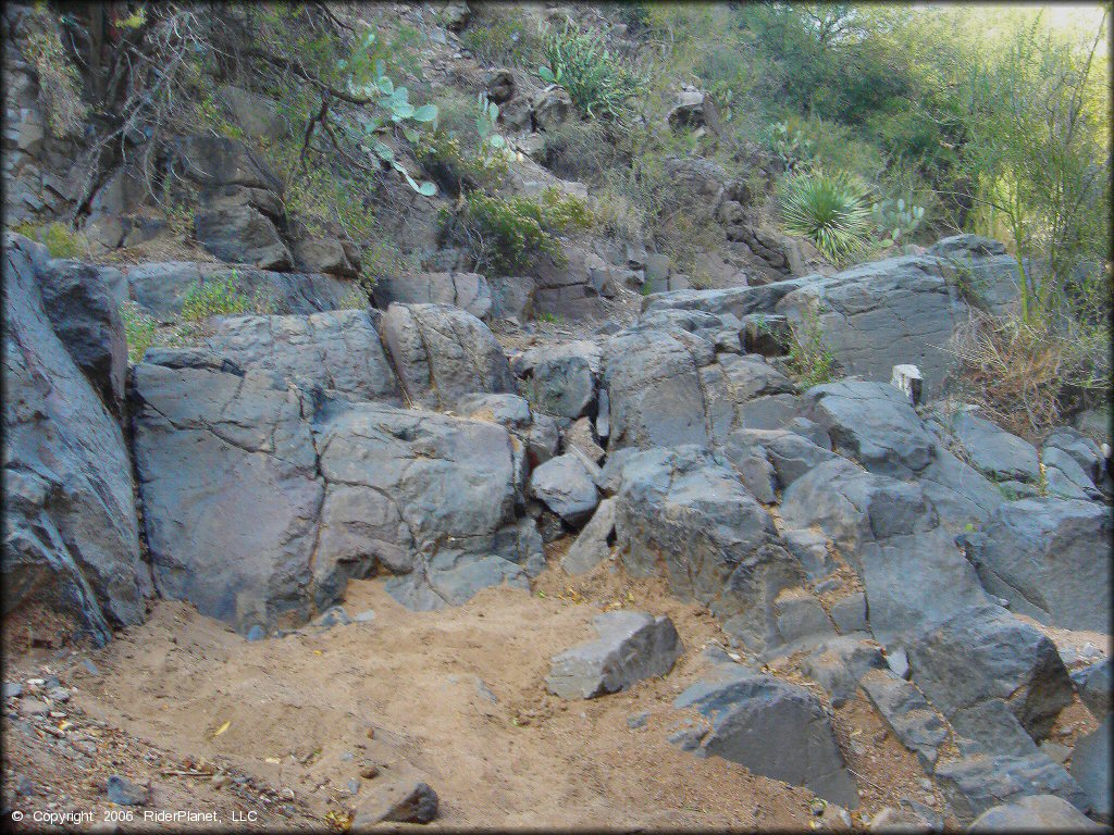 A trail at Log Corral Canyon Trail