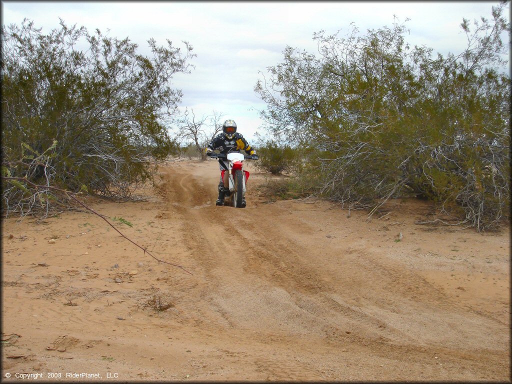 Honda CRF Dirt Bike at Pinal Airpark Trail