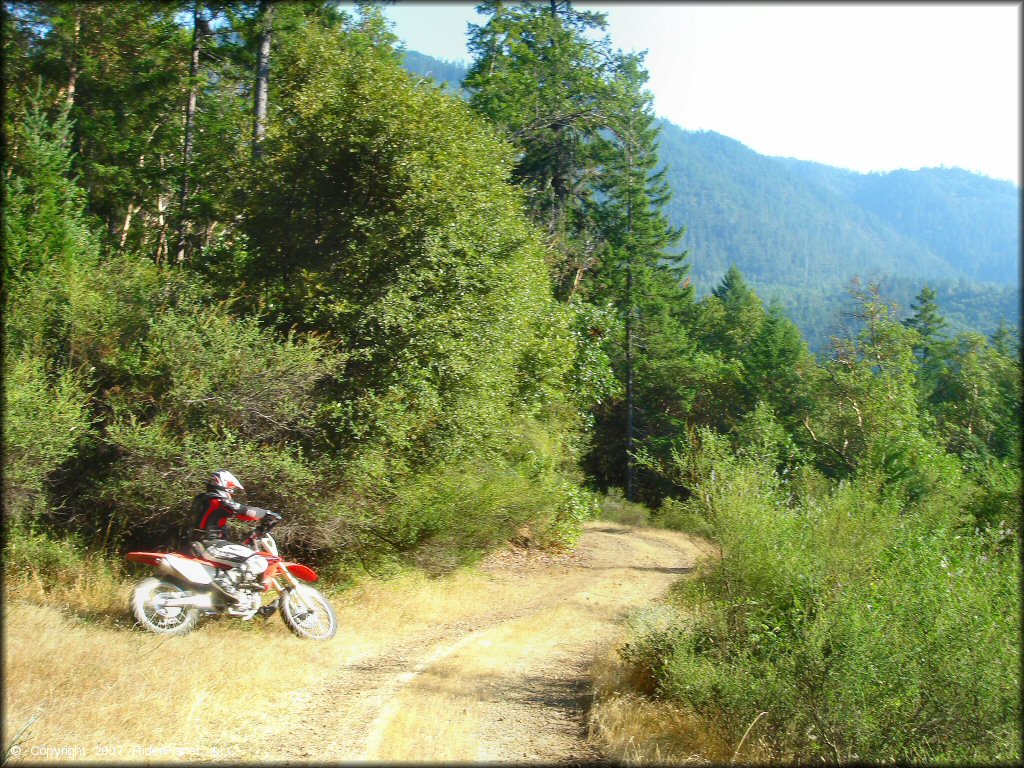 Honda CRF Motorcycle at Lubbs Trail