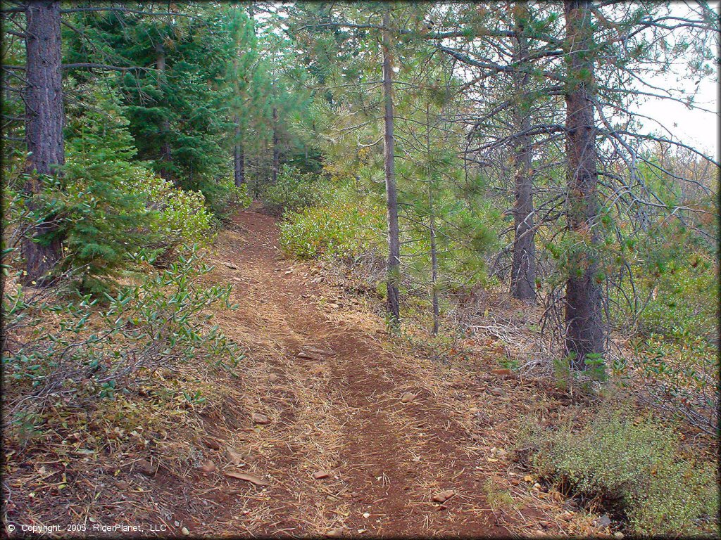 A trail at Prosser Hill OHV Area Trail