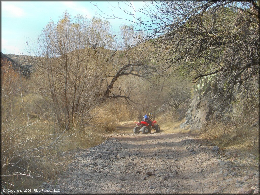 Honda TRX250 going through a brush tunnel.