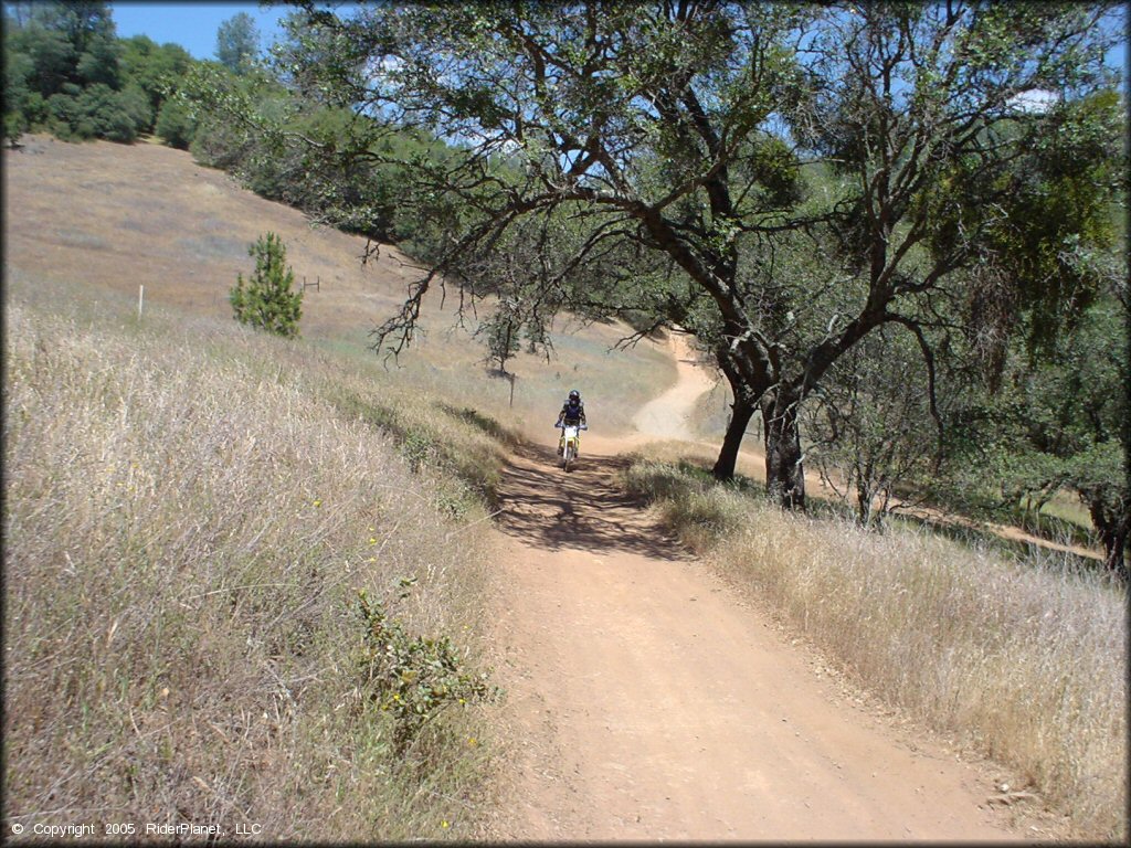 OHV at Mammoth Bar OHV OHV Area