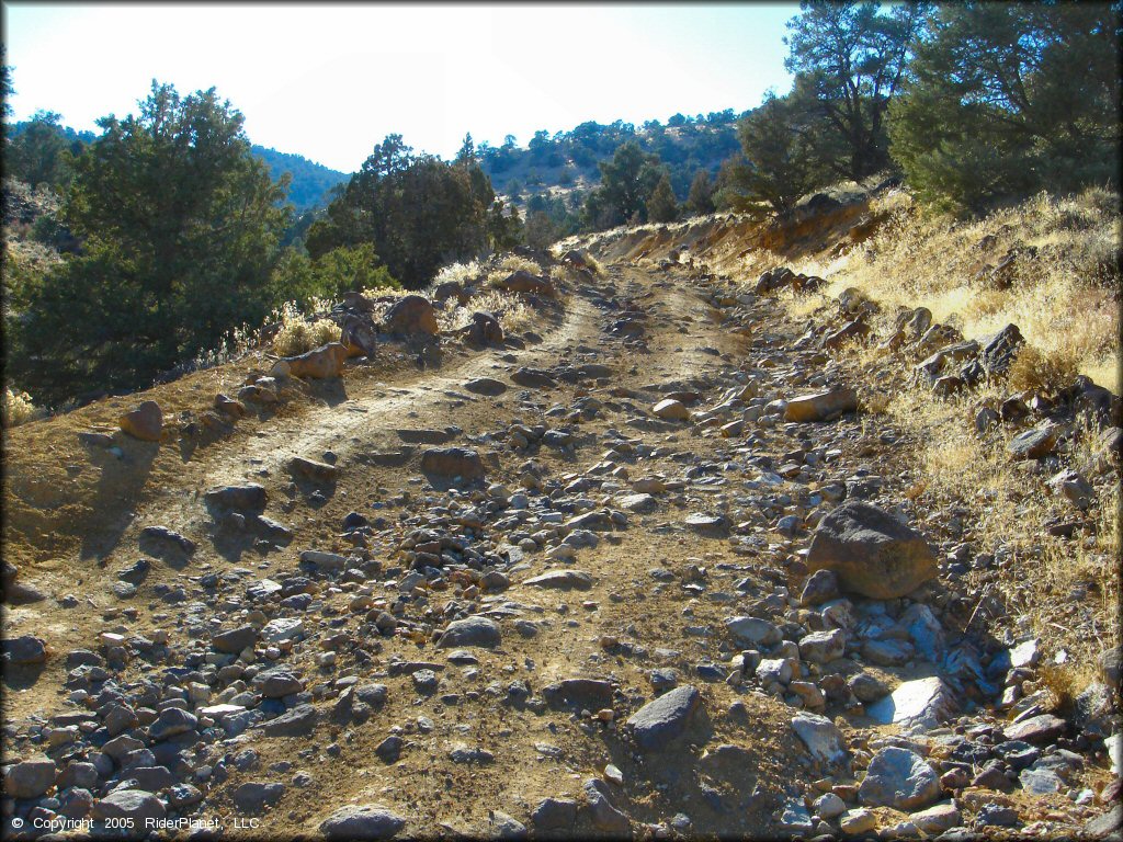 Lousetown Road Trail