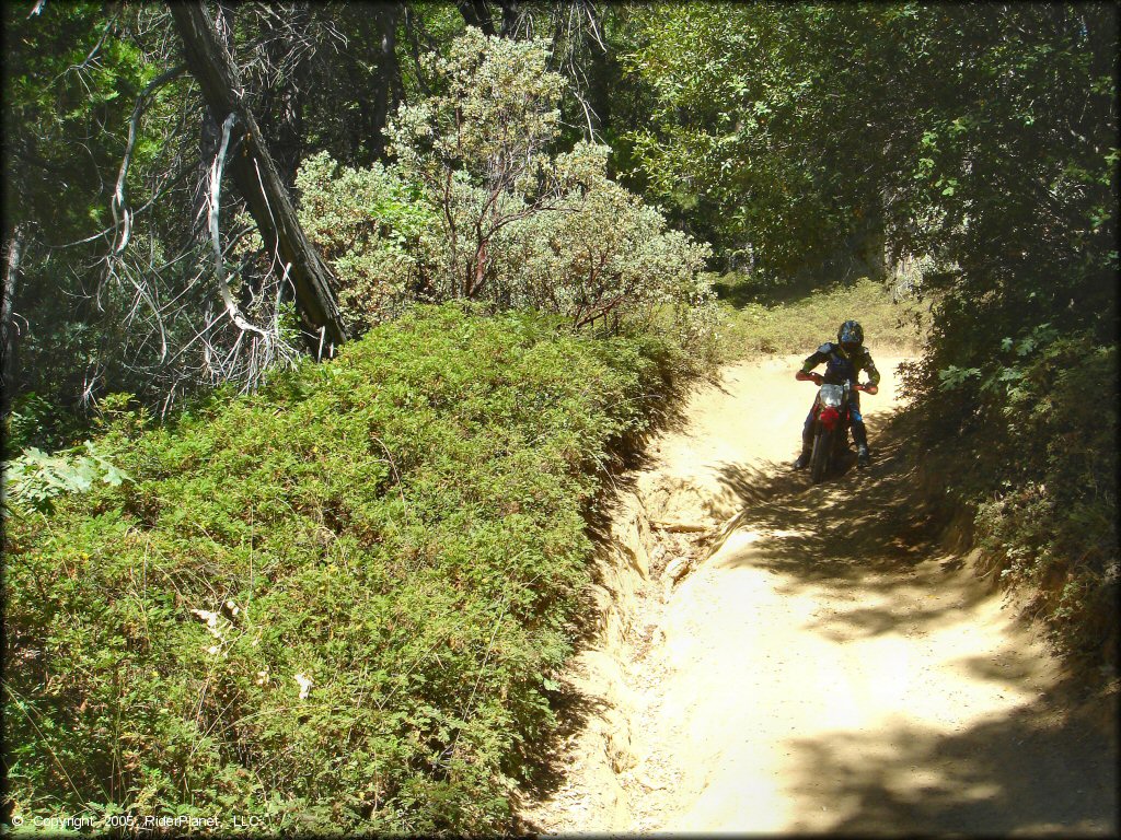 Honda CRF Off-Road Bike at Miami Creek OHV Area Trail