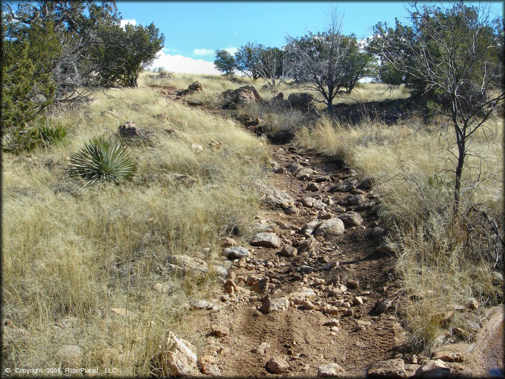 Terrain example at Redington Pass Trail