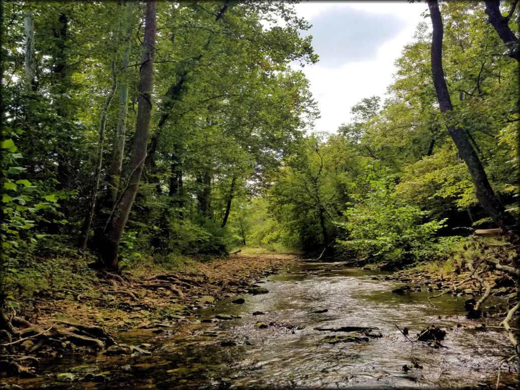 Hooter Holler Offroad OHV Area