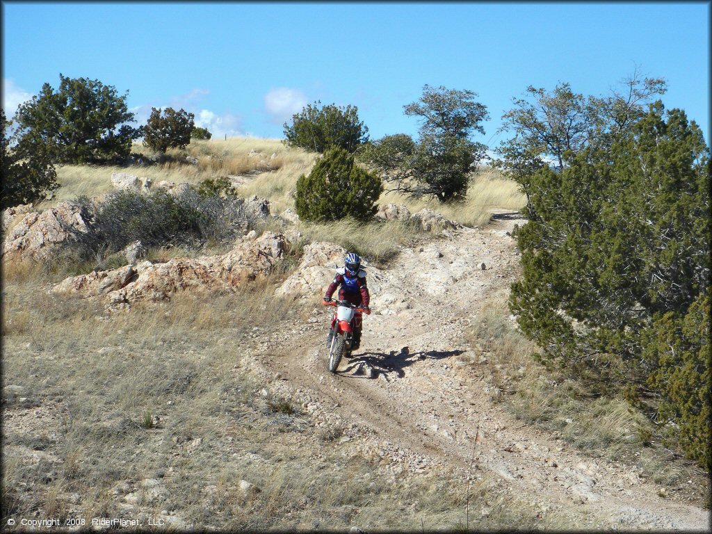 Honda CRF Motorcycle at Redington Pass Trail