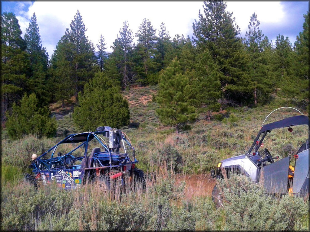 Pine Lake OHV Trail