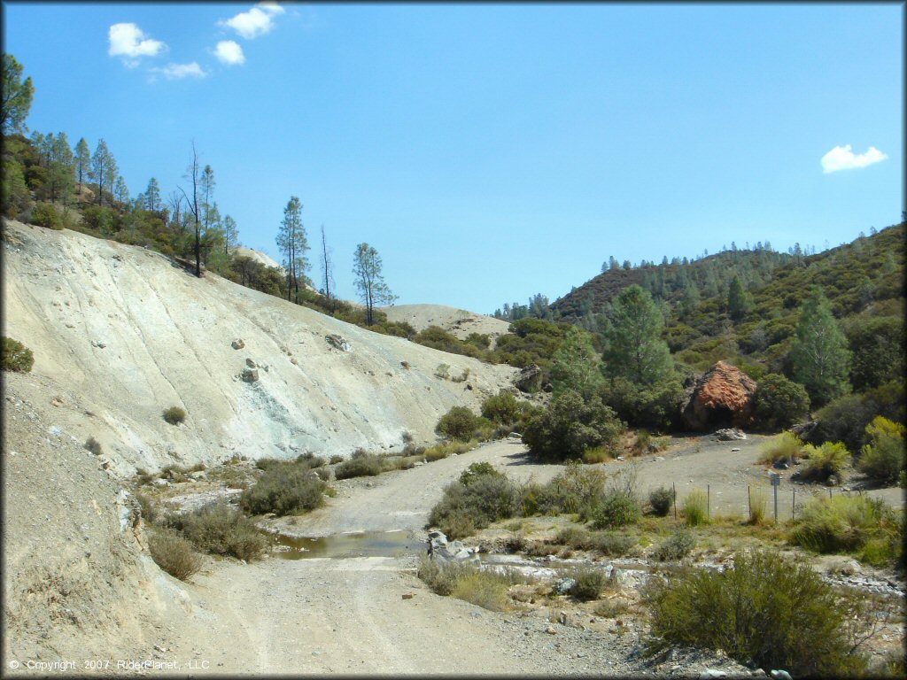 Scenery at Clear Creek Management Area Trail