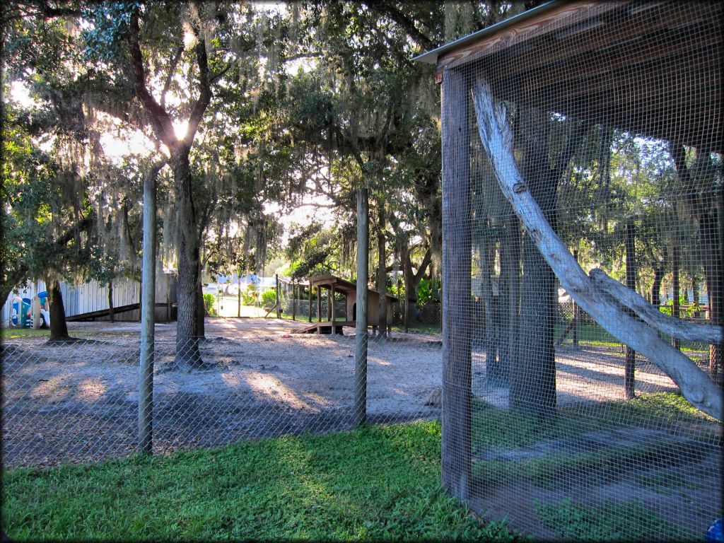 Peace River Campground Trail