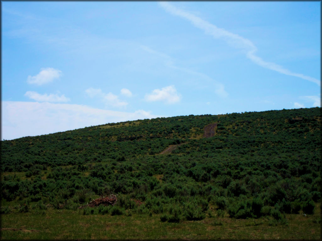 Cottonwood Creek Trail