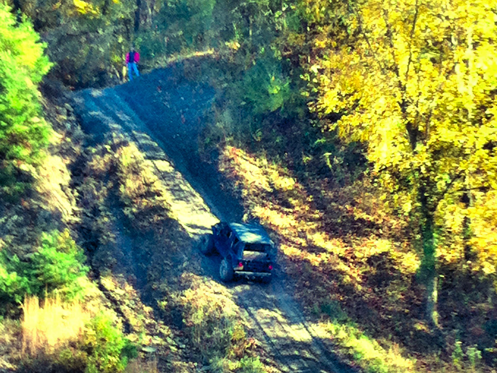 Redbird State Riding Area Trail