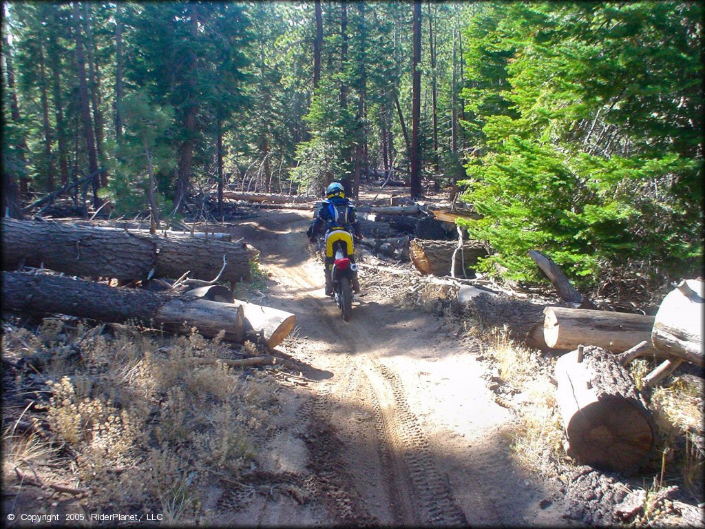 Honda CRF Motorcycle at Genoa Peak Trail