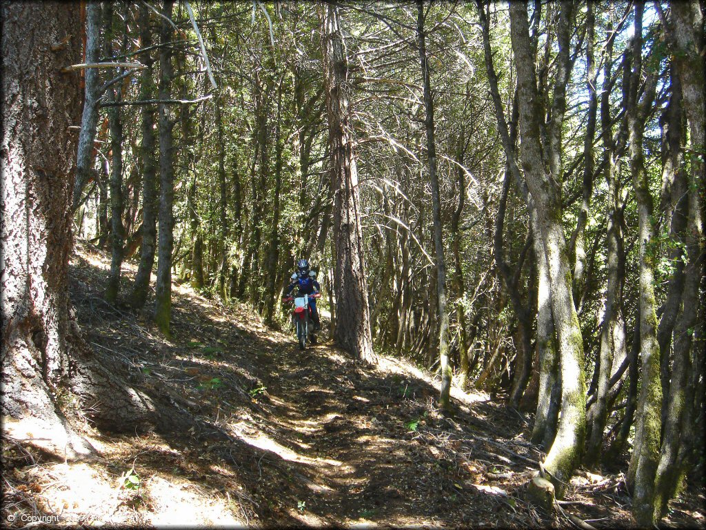 Girl riding a Honda CRF Dirt Bike at High Dome Trail