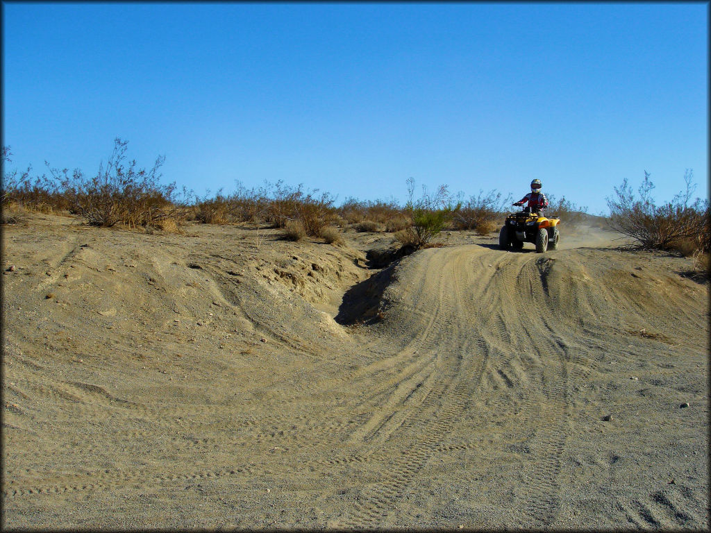 Woman on Honda Fourtrax 250 riding down sandy ATV trail.